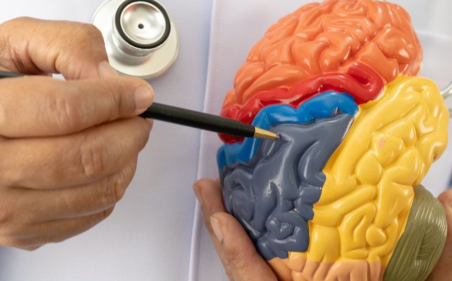 Neuroscience